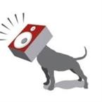 Pitbull Audio